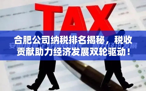 合肥公司納稅排名揭秘，稅收貢獻(xiàn)助力經(jīng)濟(jì)發(fā)展雙輪驅(qū)動！