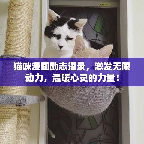 貓咪漫畫勵(lì)志語錄，激發(fā)無限動(dòng)力，溫暖心靈的力量！