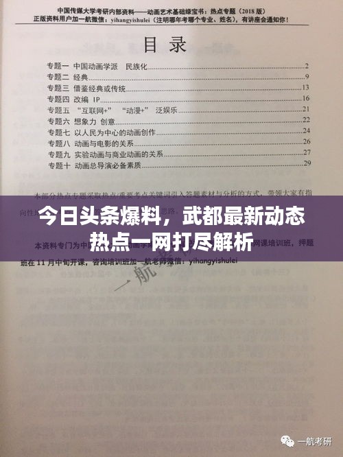 今日頭條爆料，武都最新動態(tài)熱點一網打盡解析
