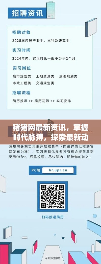 豬豬網(wǎng)最新資訊，掌握時代脈搏，探索最新動態(tài)