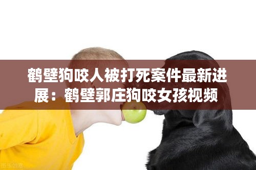 鶴壁狗咬人被打死案件最新進展：鶴壁郭莊狗咬女孩視頻 