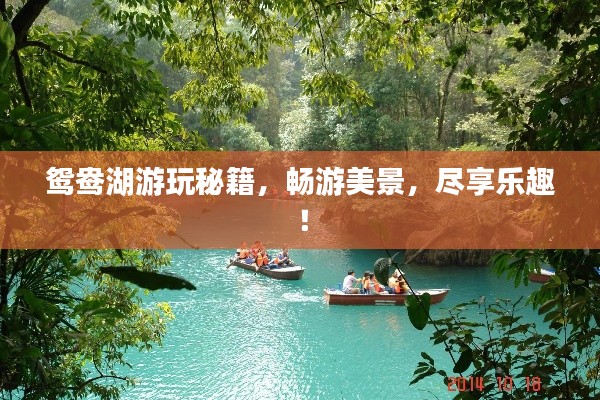 鴛鴦湖游玩秘籍，暢游美景，盡享樂(lè)趣！