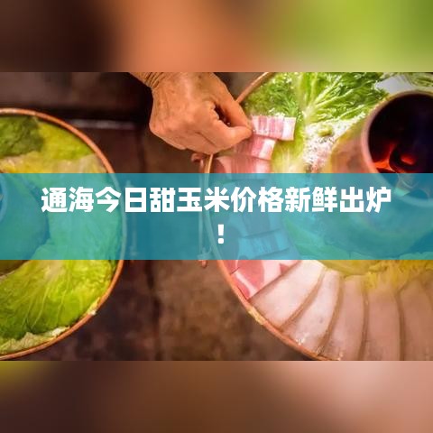 通海今日甜玉米價(jià)格新鮮出爐！