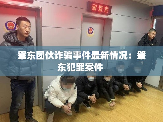肇東團(tuán)伙詐騙事件最新情況：肇東犯罪案件 