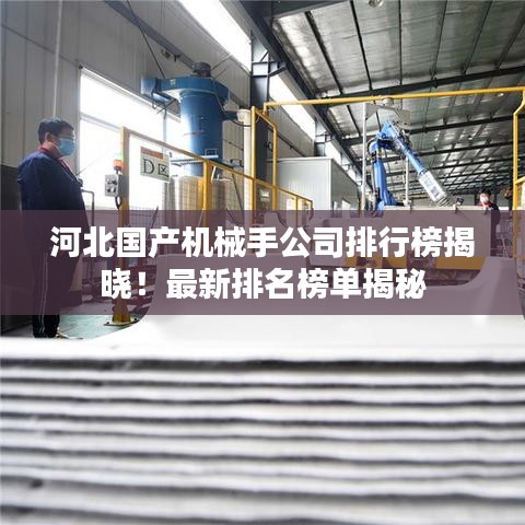 河北國產(chǎn)機(jī)械手公司排行榜揭曉！最新排名榜單揭秘