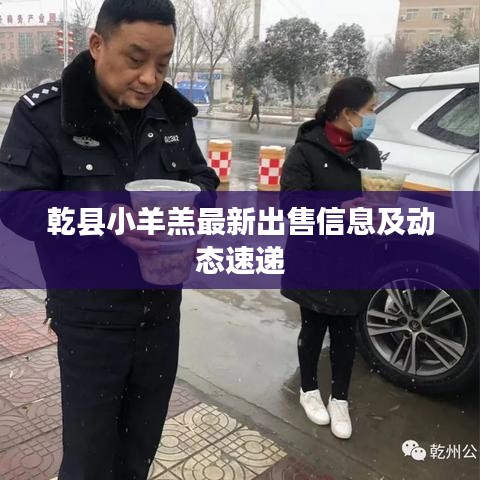 張燈結彩 第4頁