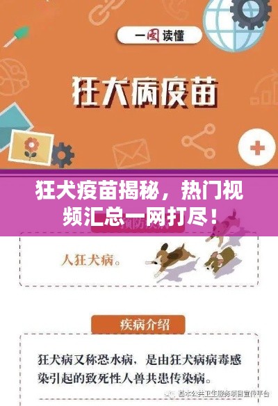 狂犬疫苗揭秘，熱門(mén)視頻匯總一網(wǎng)打盡！