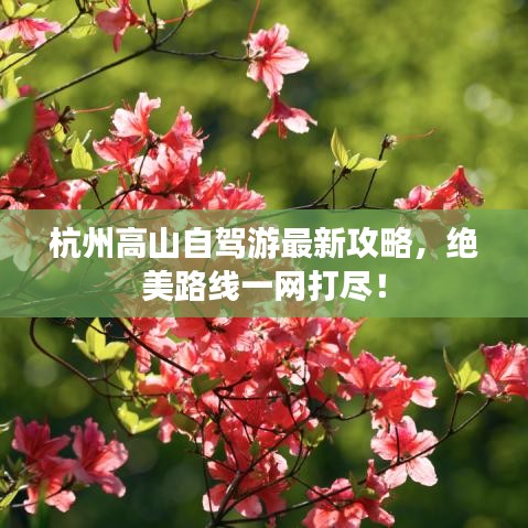 杭州高山自駕游最新攻略，絕美路線一網(wǎng)打盡！