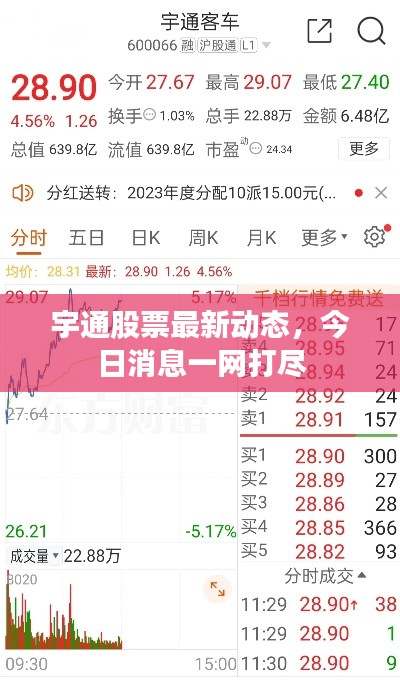 宇通股票最新動態(tài)，今日消息一網(wǎng)打盡
