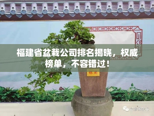 福建省盆栽公司排名揭曉，權(quán)威榜單，不容錯過！