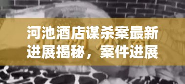 河池酒店謀殺案最新進(jìn)展揭秘，案件進(jìn)展令人震驚，真相逐漸浮出水面