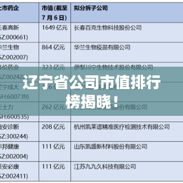 遼寧省公司市值排行榜揭曉！