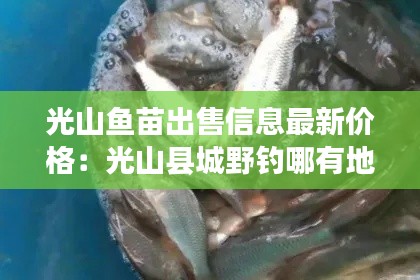 光山魚苗出售信息最新價(jià)格：光山縣城野釣?zāi)挠械胤?
