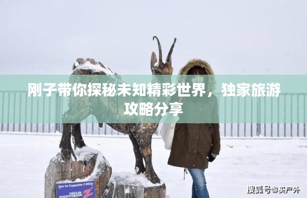 剛子帶你探秘未知精彩世界，獨(dú)家旅游攻略分享