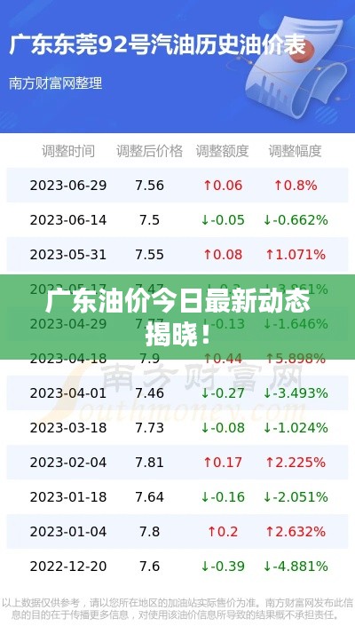 廣東油價今日最新動態(tài)揭曉！
