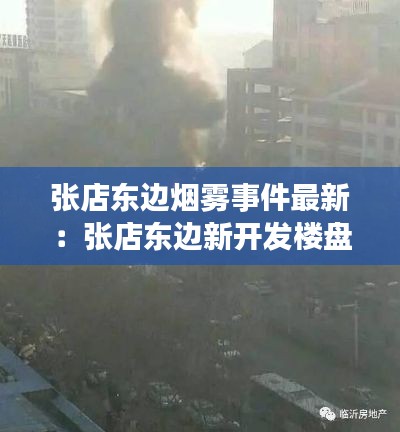 張店東邊煙霧事件最新：張店東邊新開發(fā)樓盤價格 