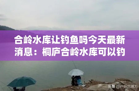 合嶺水庫(kù)讓釣魚(yú)嗎今天最新消息：桐廬合嶺水庫(kù)可以釣魚(yú)嗎 