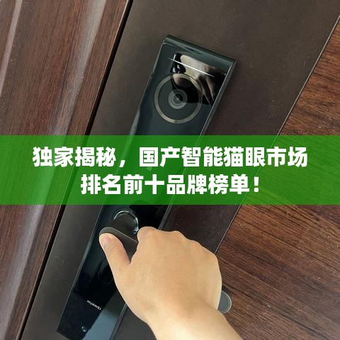 獨家揭秘，國產智能貓眼市場排名前十品牌榜單！