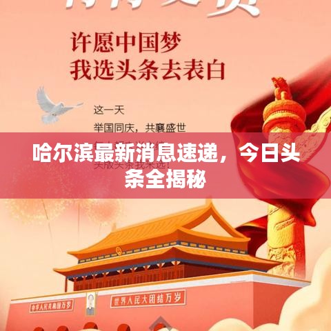 哈爾濱最新消息速遞，今日頭條全揭秘