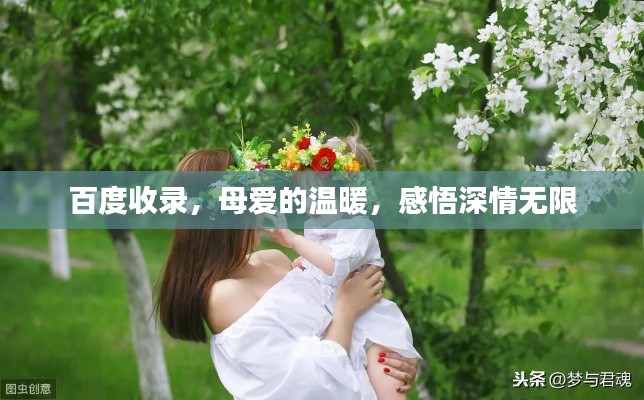 百度收錄，母愛(ài)的溫暖，感悟深情無(wú)限