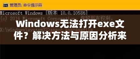 Windows無法打開exe文件？解決方法與原因分析來幫你解決！