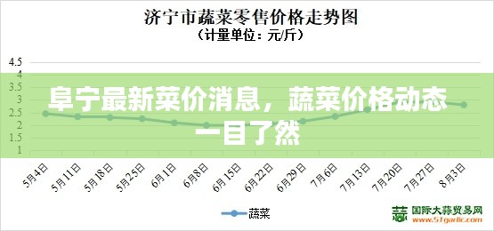 阜寧最新菜價(jià)消息，蔬菜價(jià)格動(dòng)態(tài)一目了然