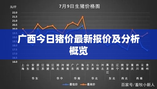 廣西今日豬價最新報價及分析概覽