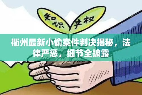 衢州最新小偷案件判決揭秘，法律嚴(yán)懲，細(xì)節(jié)全披露