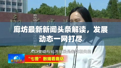 廊坊最新新聞?lì)^條解讀，發(fā)展動(dòng)態(tài)一網(wǎng)打盡