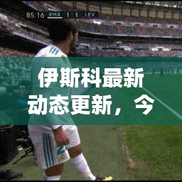伊斯科最新動態(tài)更新，今日消息揭秘！