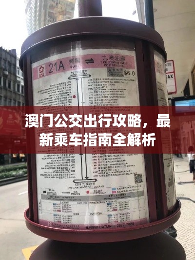 澳門公交出行攻略，最新乘車指南全解析
