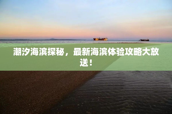 潮汐海濱探秘，最新海濱體驗(yàn)攻略大放送！