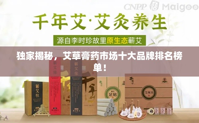 獨家揭秘，艾草膏藥市場十大品牌排名榜單！