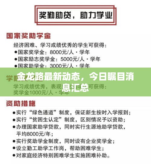 金龍路最新動態(tài)，今日矚目消息匯總