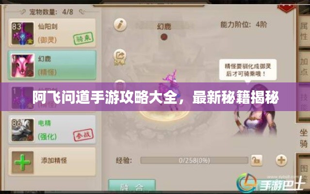 阿飛問道手游攻略大全，最新秘籍揭秘