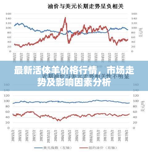 最新活體羊價格行情，市場走勢及影響因素分析