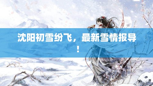 沈陽初雪紛飛，最新雪情報導！