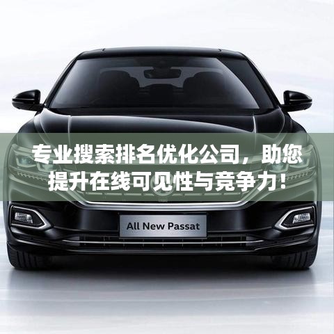 專業(yè)搜索排名優(yōu)化公司，助您提升在線可見性與競爭力！