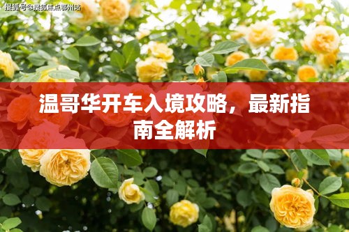 溫哥華開車入境攻略，最新指南全解析