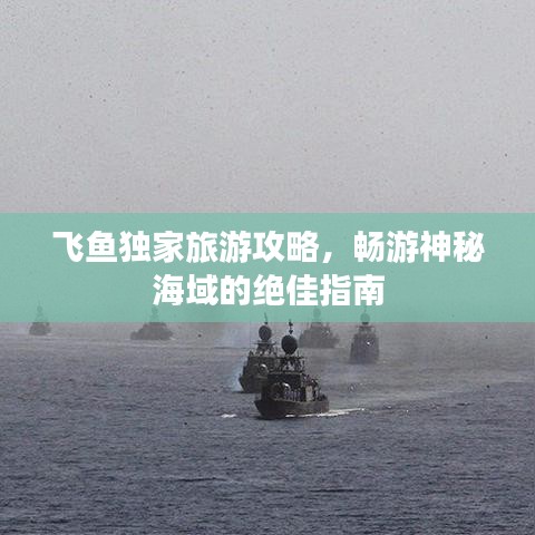 飛魚(yú)獨(dú)家旅游攻略，暢游神秘海域的絕佳指南