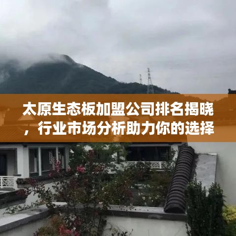 太原生態(tài)板加盟公司排名揭曉，行業(yè)市場分析助力你的選擇！