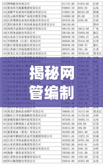 揭秘網(wǎng)管編制廠家排名前十強榜單！