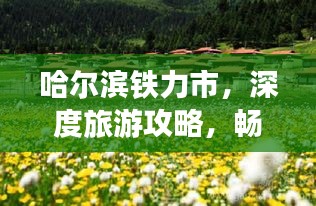 哈爾濱鐵力市，深度旅游攻略，暢游美景不容錯過！