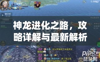 神龍進化之路，攻略詳解與最新解析