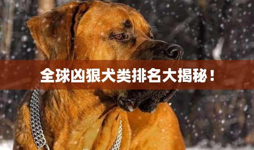 貌美如花 第3頁