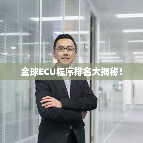 全球ECU程序排名大揭秘！