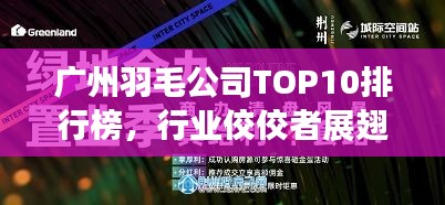 廣州羽毛公司TOP10排行榜，行業(yè)佼佼者展翅高飛領(lǐng)航未來