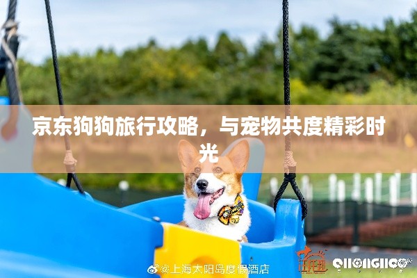 京東狗狗旅行攻略，與寵物共度精彩時光