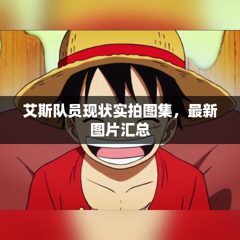 艾斯隊(duì)員現(xiàn)狀實(shí)拍圖集，最新圖片匯總
