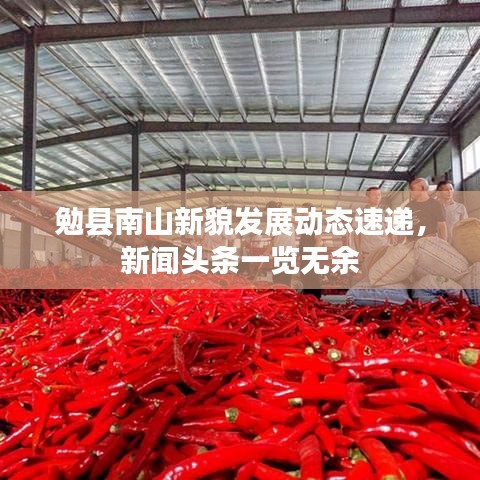 勉縣南山新貌發(fā)展動態(tài)速遞，新聞頭條一覽無余